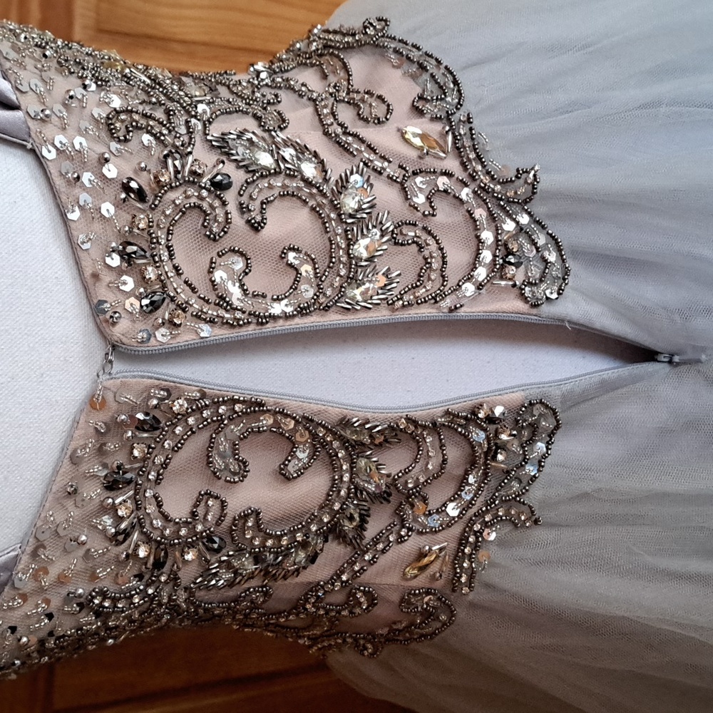 Terani Couture voluminous tulle evening formal gown crystals satin straps sz4-6 - Picture 8 of 16